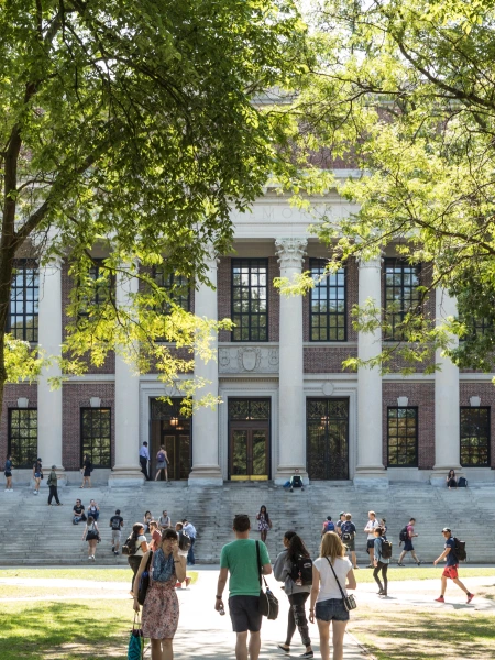 Why Education Institutions Trust D1 Solutions